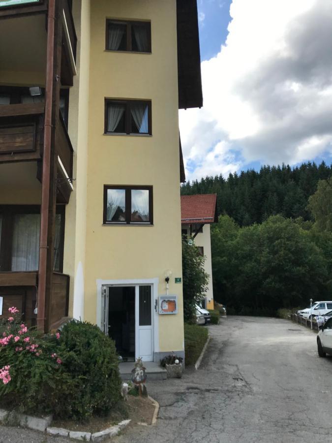 Apartament Eisenstein Bayerisch Eisenstein Zewnętrze zdjęcie